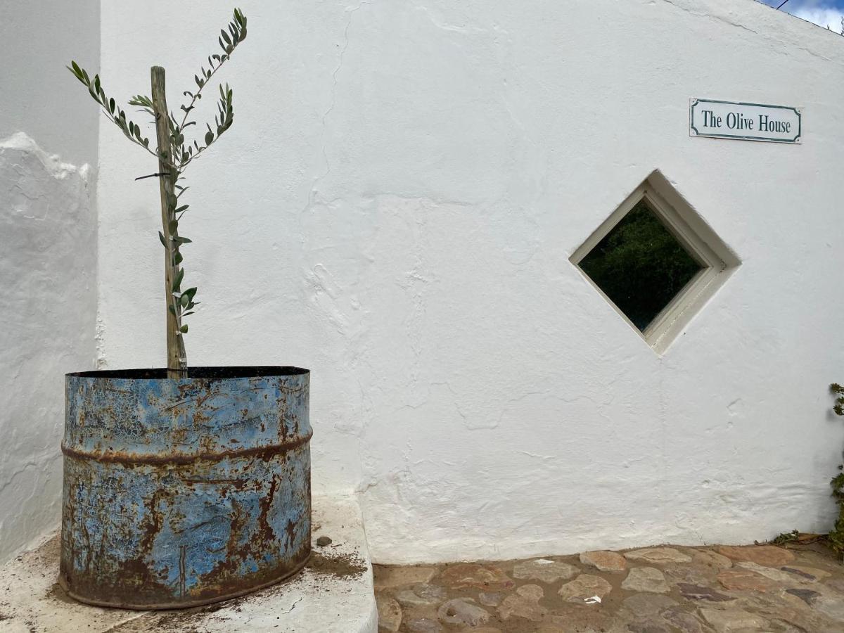 The Olive House, Prince Albert Kültér fotó